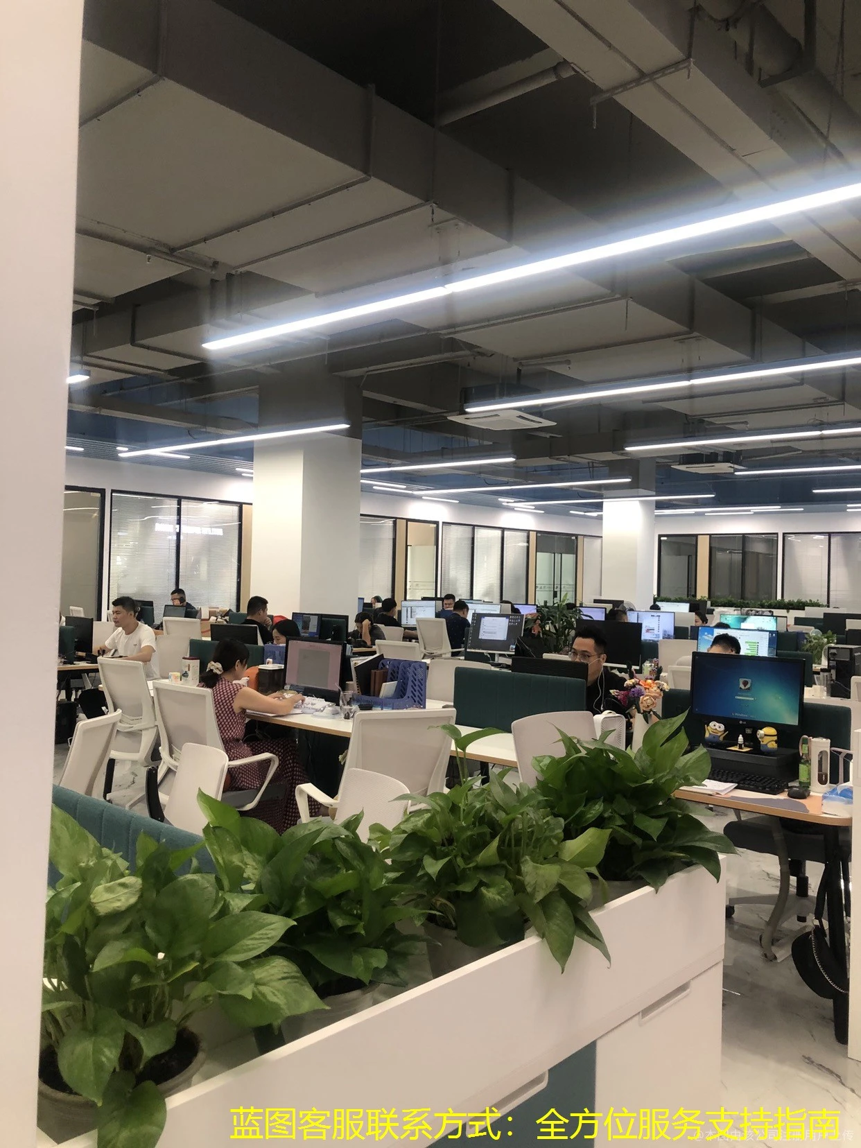 蓝图客服联系方式：全方位服务支持指南