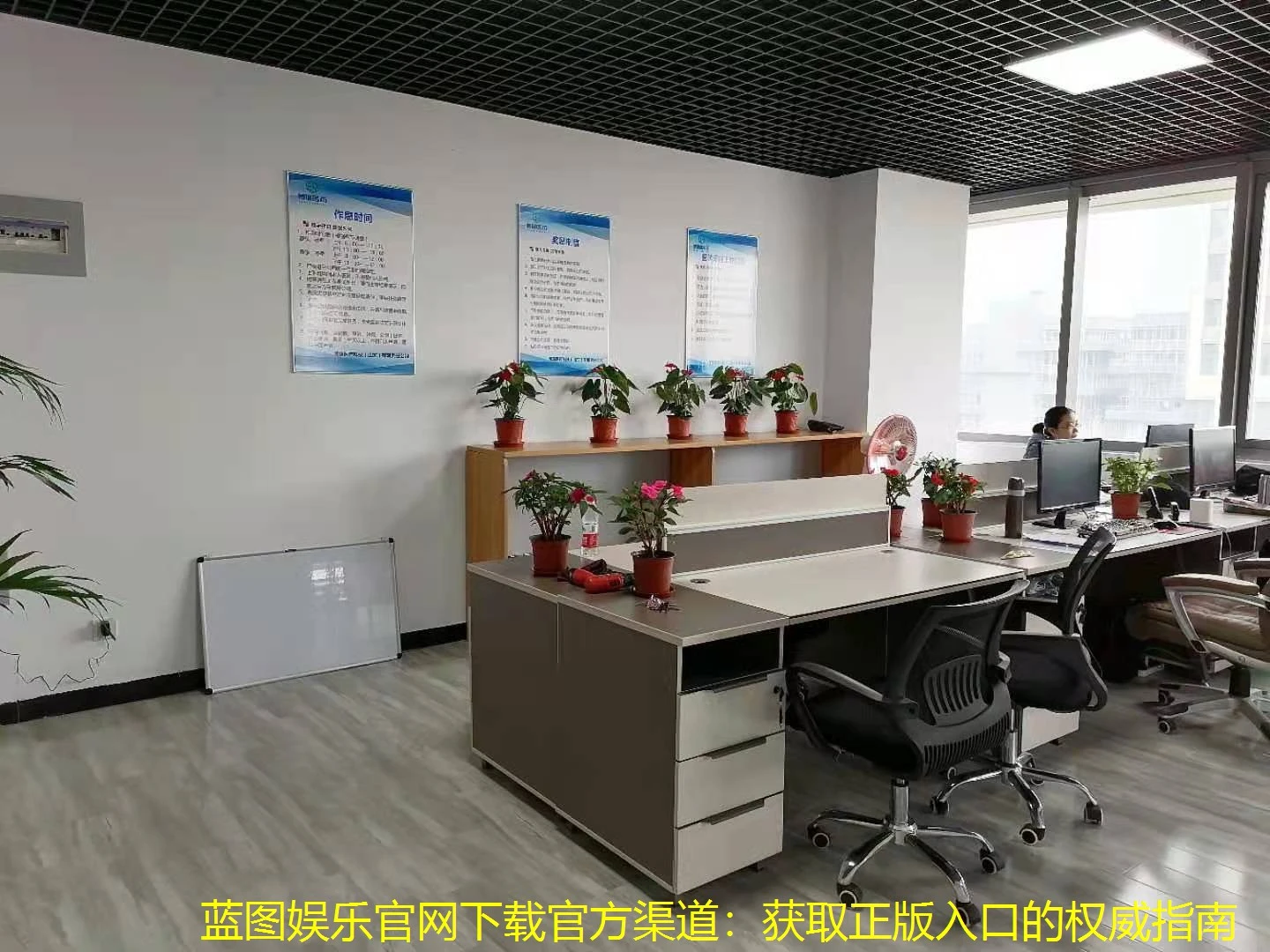 蓝图娱乐官网下载官方渠道：获取正版入口的权威指南