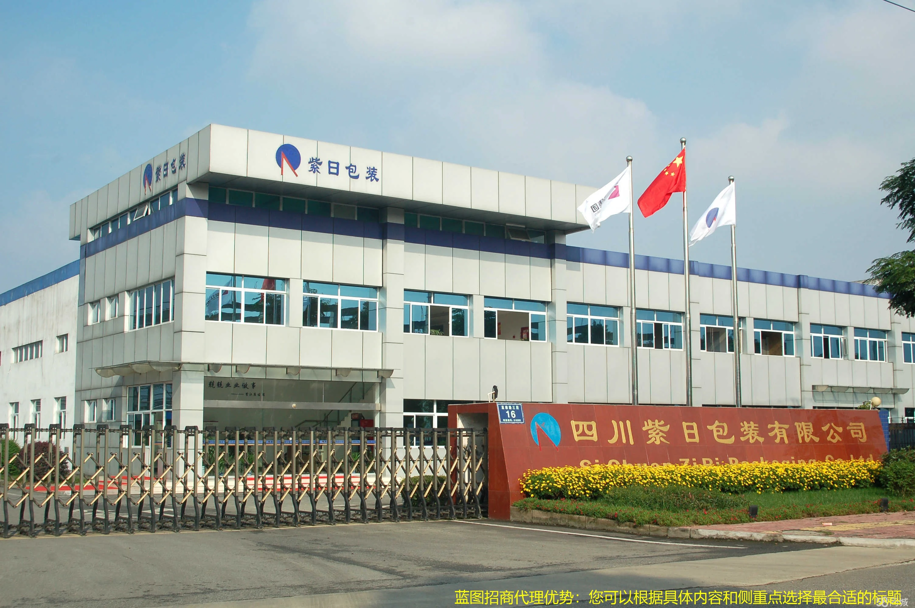 蓝图招商代理优势：您可以根据具体内容和侧重点选择最合适的标题