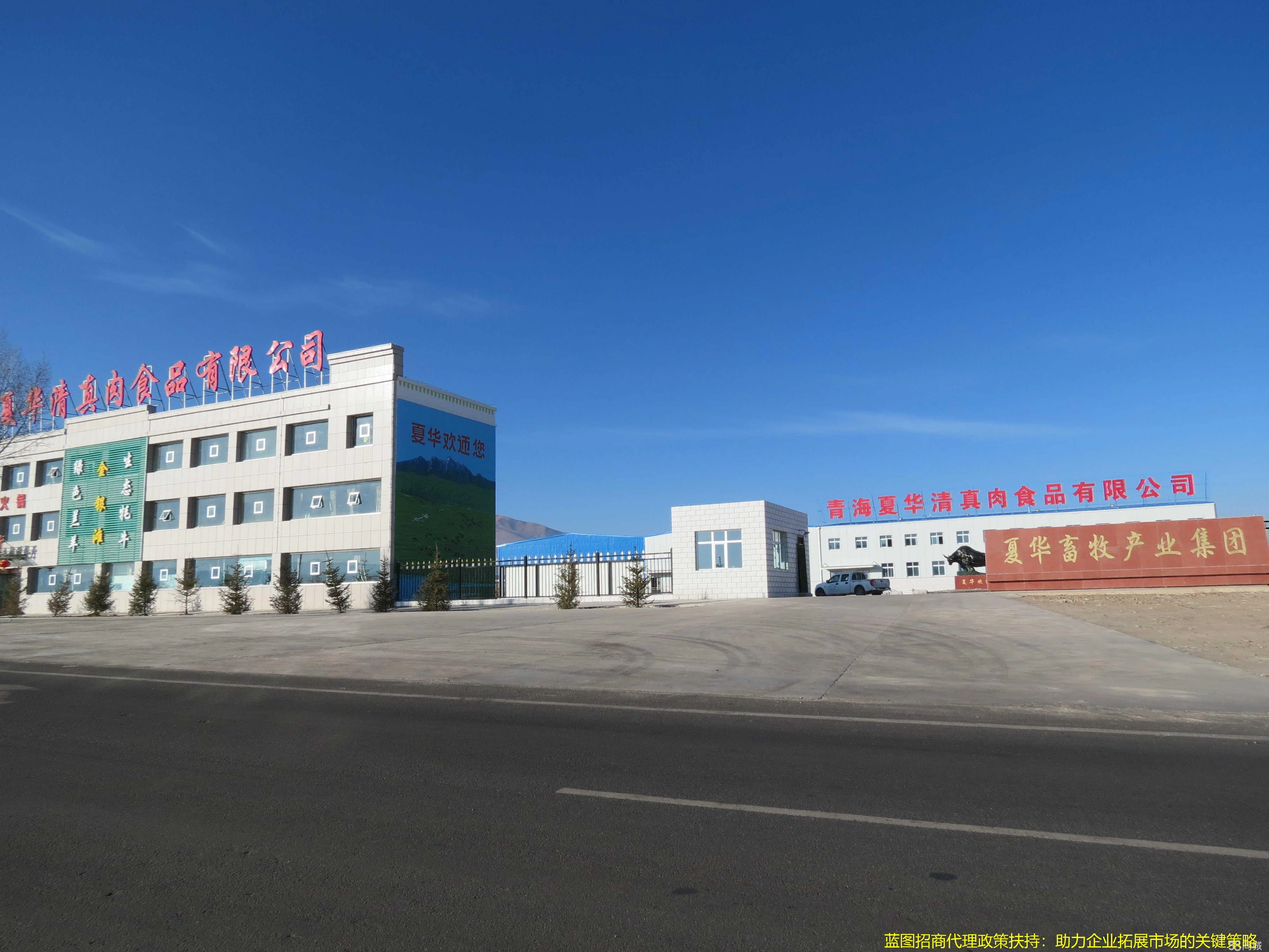 蓝图招商代理政策扶持：助力企业拓展市场的关键策略