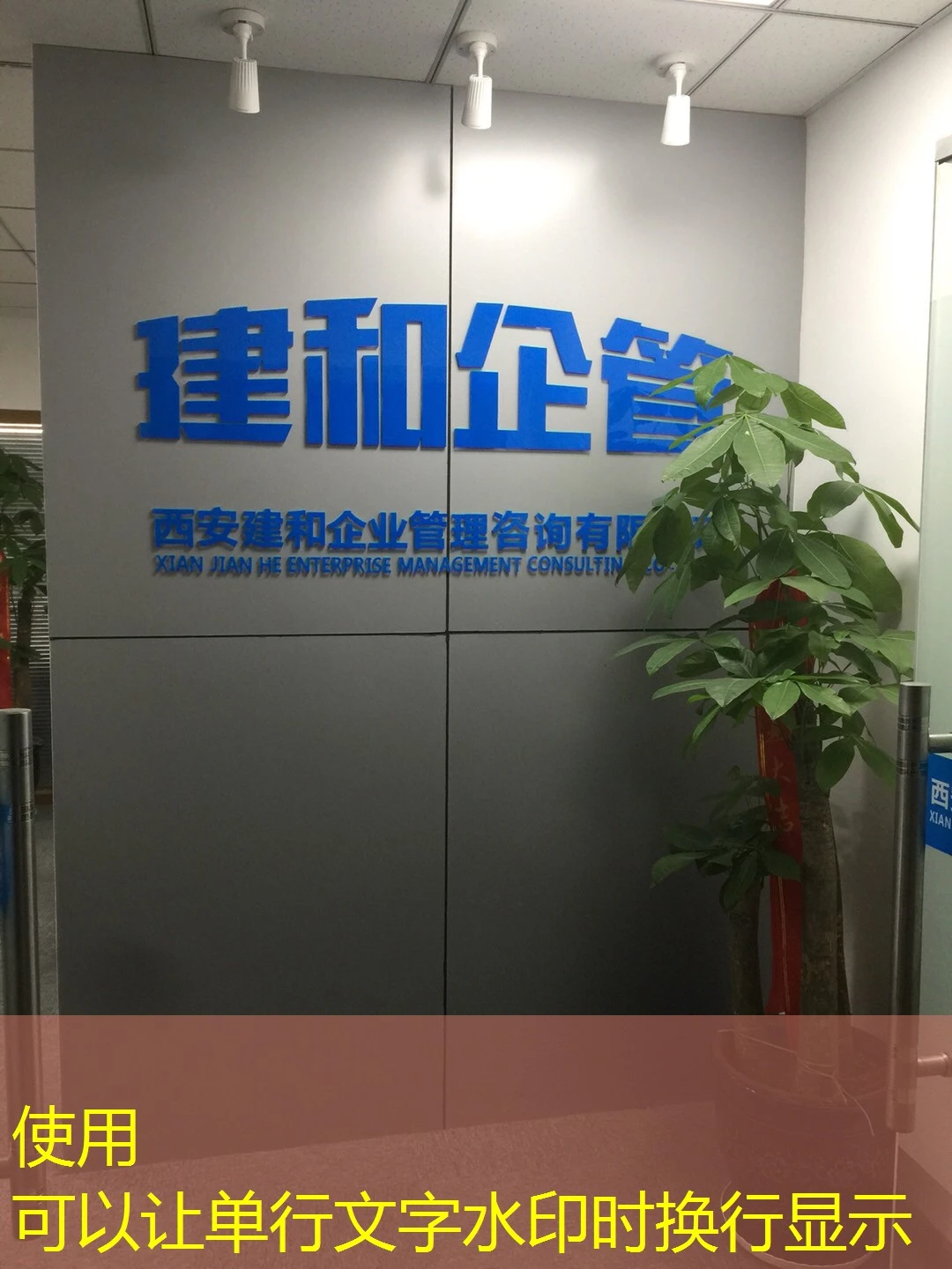 蓝图娱乐代理后台登录平台：高效管理，轻松运营